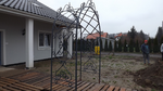 PERGOLA NA KWIATY KUTA